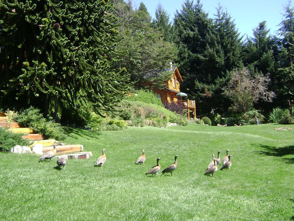 Puerto Pireo Lodge *